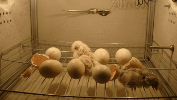 Ứng dụng thực tế và những điều cần lưu ý