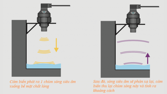 Cảm biến siêu âm (Ultrasonic)