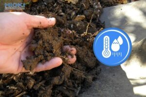 Đo độ ẩm đất rất quan trọng